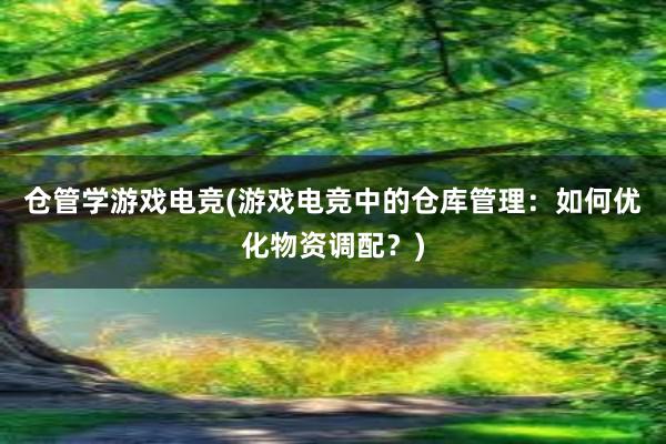 仓管学游戏电竞(游戏电竞中的仓库管理：如何优化物资调配？)