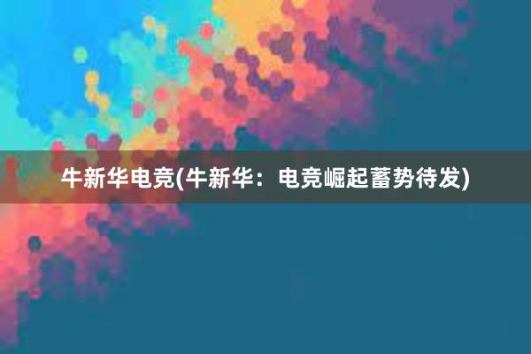 牛新华电竞(牛新华：电竞崛起蓄势待发)