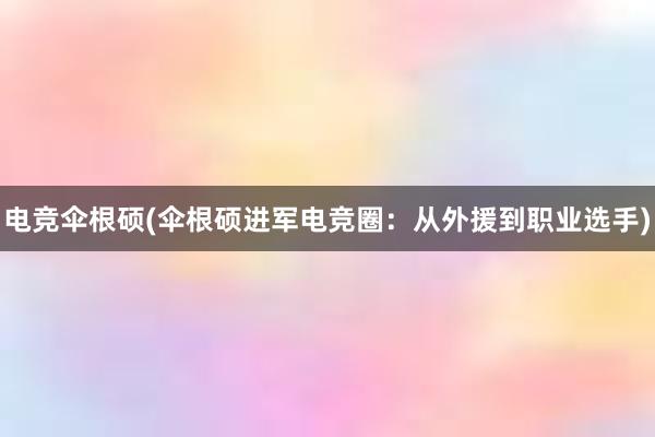 电竞伞根硕(伞根硕进军电竞圈：从外援到职业选手)