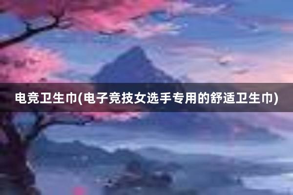 电竞卫生巾(电子竞技女选手专用的舒适卫生巾)