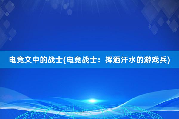 电竞文中的战士(电竞战士：挥洒汗水的游戏兵)