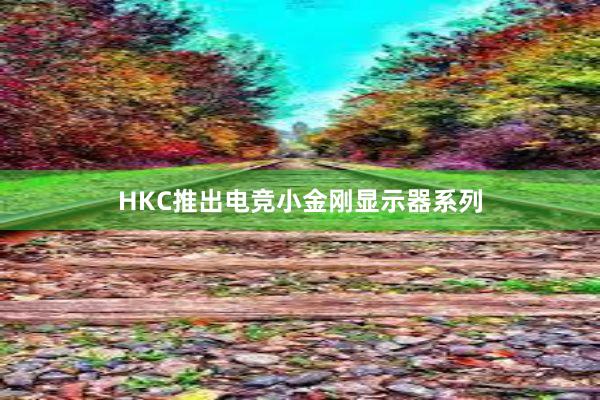 HKC推出电竞小金刚显示器系列