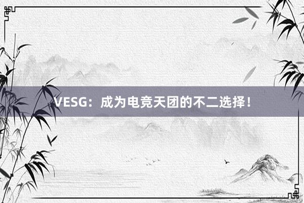 VESG：成为电竞天团的不二选择！