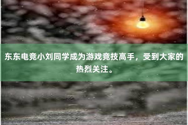 东东电竞小刘同学成为游戏竞技高手，受到大家的热烈关注。