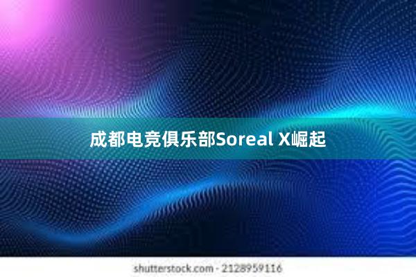 成都电竞俱乐部Soreal X崛起