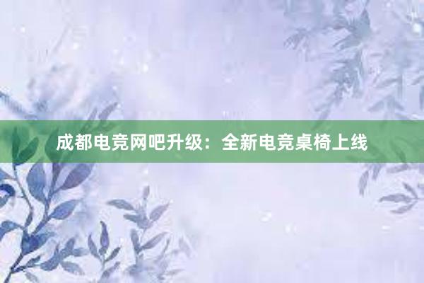 成都电竞网吧升级：全新电竞桌椅上线