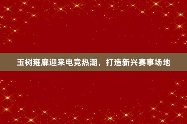 玉树雍廓迎来电竞热潮，打造新兴赛事场地