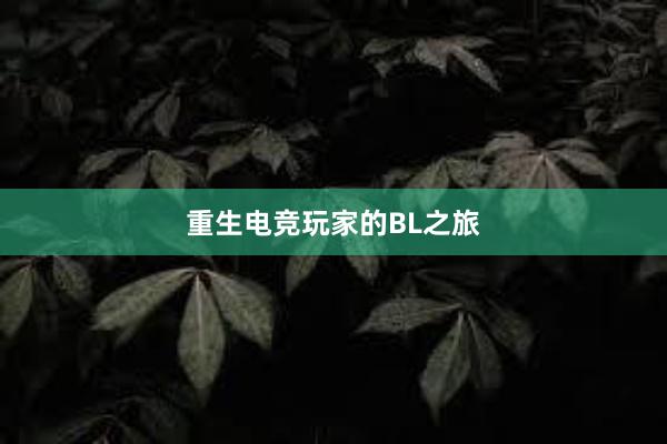 重生电竞玩家的BL之旅