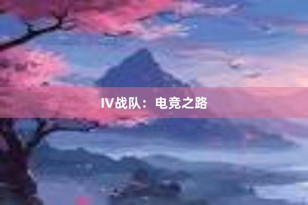 IV战队：电竞之路