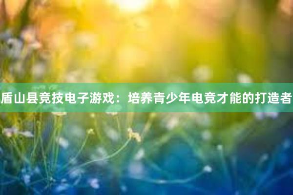 盾山县竞技电子游戏：培养青少年电竞才能的打造者